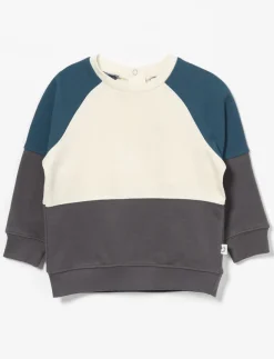 Colour Block Sweatshirt - Baby Boy