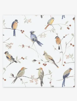 Colourful Birds Napkins - Pack of 20