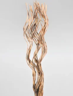 Decorative Branch