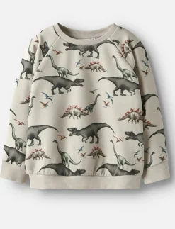 Dinosaur sweater - boys