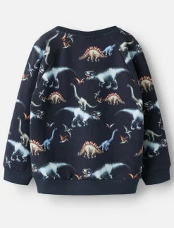 Dinosaur sweater - boys
