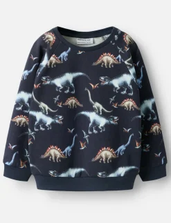 Dinosaur sweater - boys