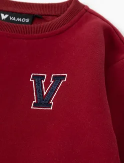 Embroidered Fleece Sweater - Little Boy