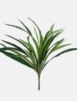 Foliage Stem