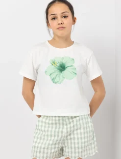 Gingham Shorts