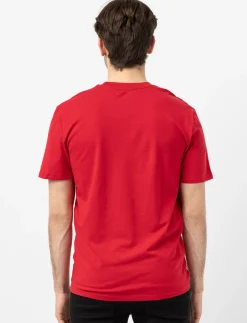 Graphic Crew-neck T-shirt