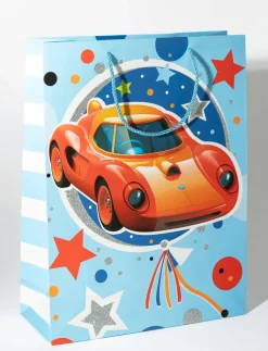 Large Printed Gift Bag