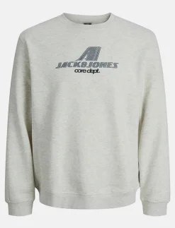 Logo Crew-neck Sweatshirt