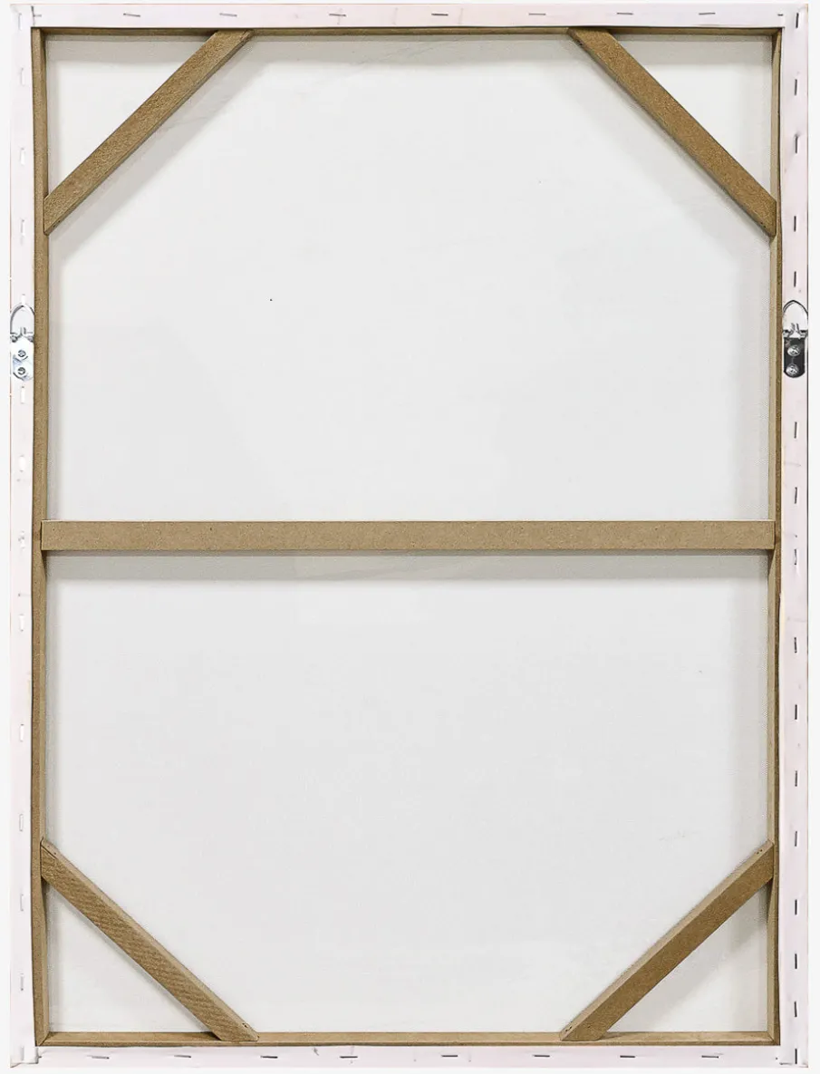 Multicolor Plaster Wall Canvas
