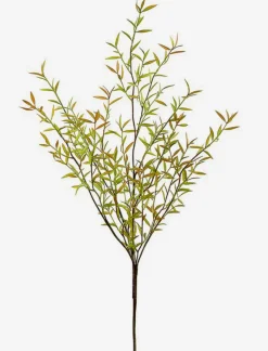 Myrtle Stem