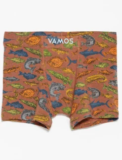 Organic Cotton Boxer