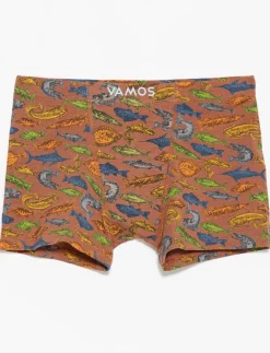 Organic Cotton Printed Boxers