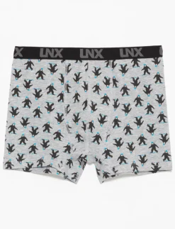 Printed Boxers