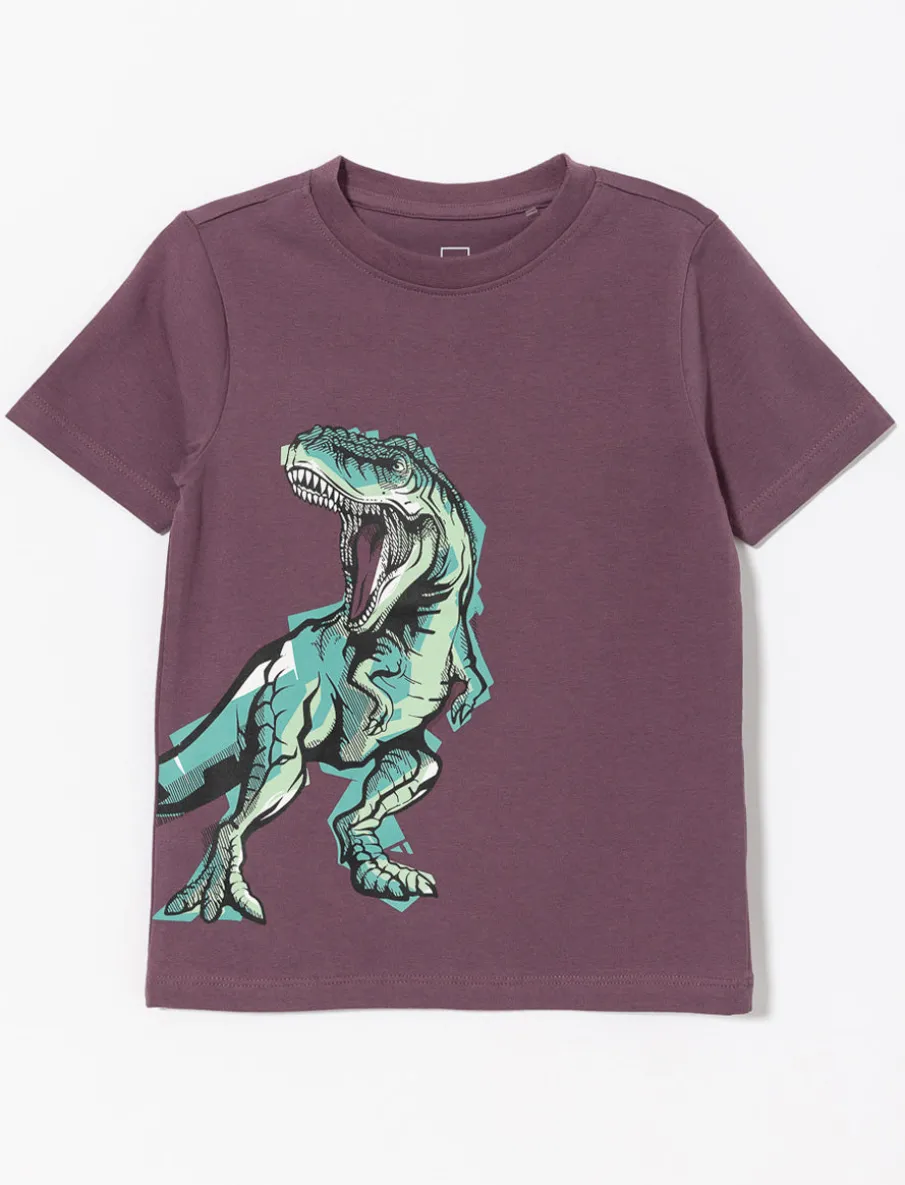 Printed Crew-neck T-shirt - Baby Boy
