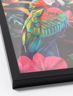 Printed Wall Art - Parrot