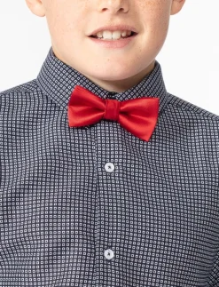 Silky Bow Tie