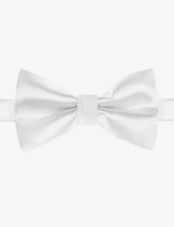 Silky Bow Tie