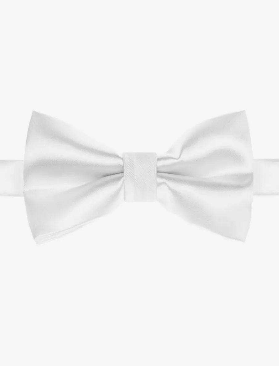 Silky Bow Tie