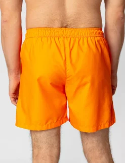 Solid Boardshorts