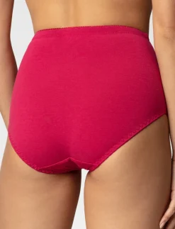 Solid Hipster Panty