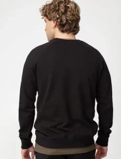 Solid Long-sleeve Sweater