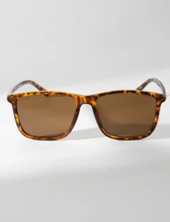 Square Sunglasses