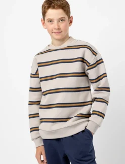 Striped Crew-neck Fleece Sweater