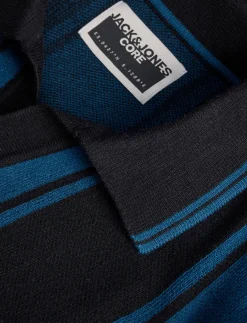 Striped Knit Polo Shirt