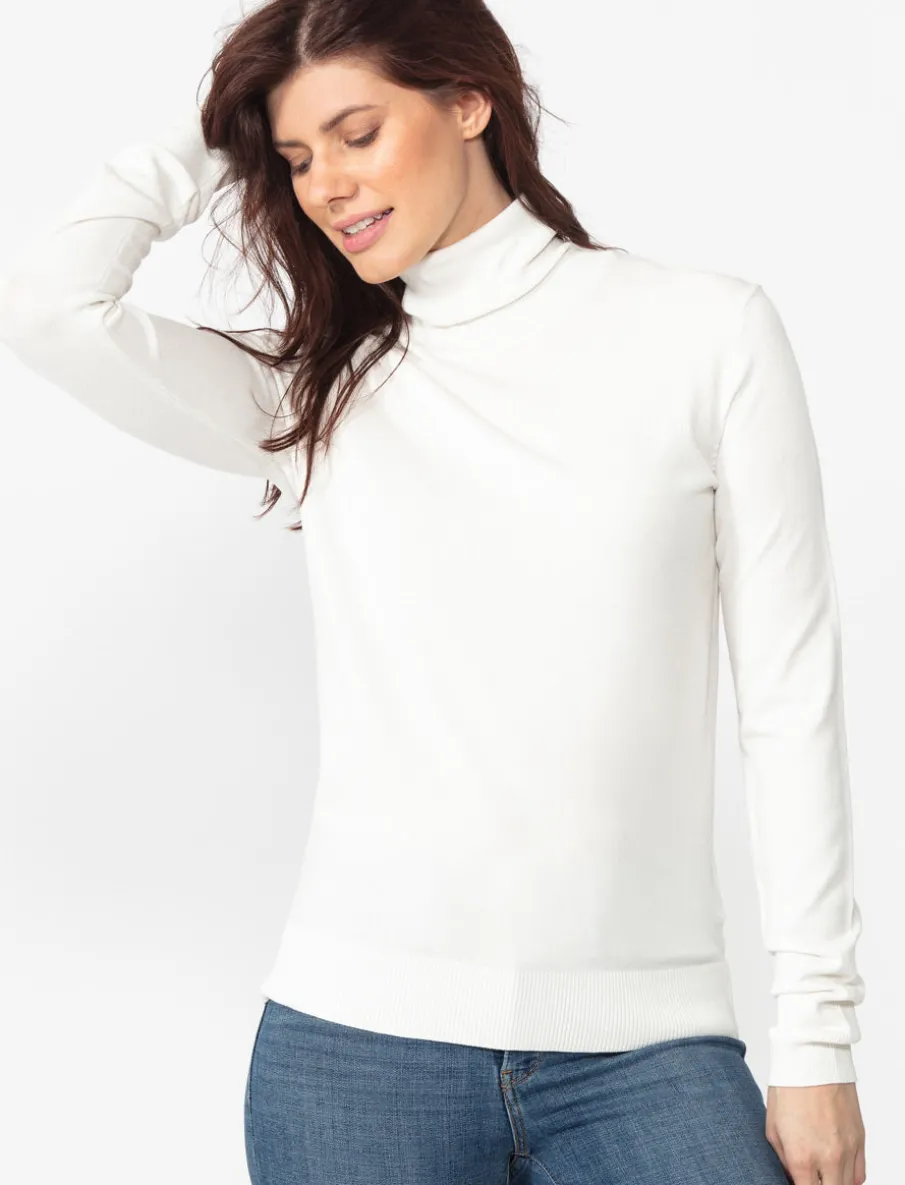 Turtleneck Sweater